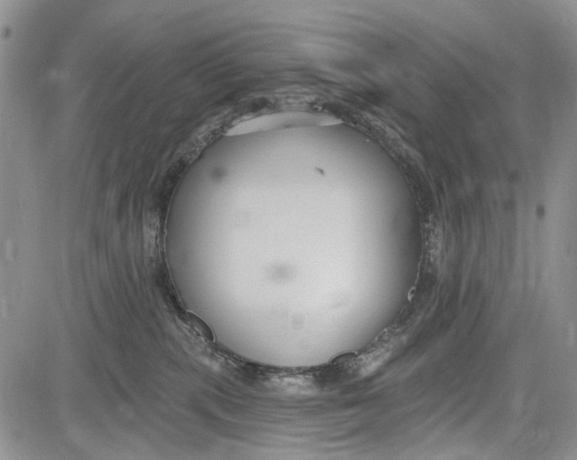 X0000081580283200702051247