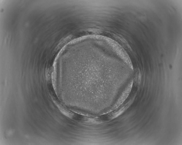 X0000081580285200702051247