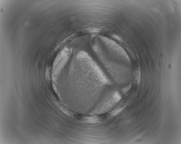 X0000081580286200702051247