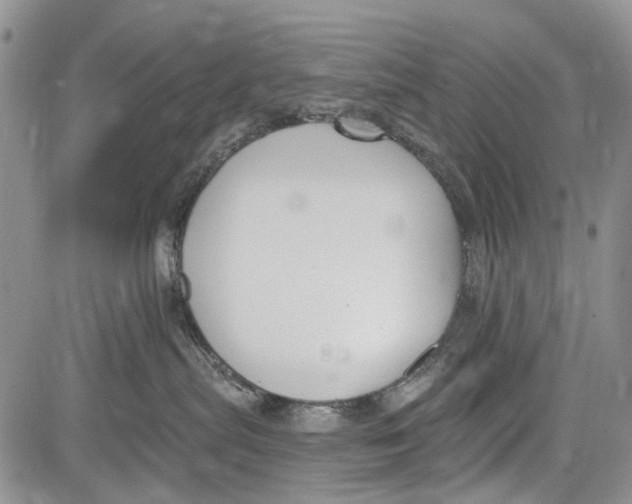 X0000081580287200702051247