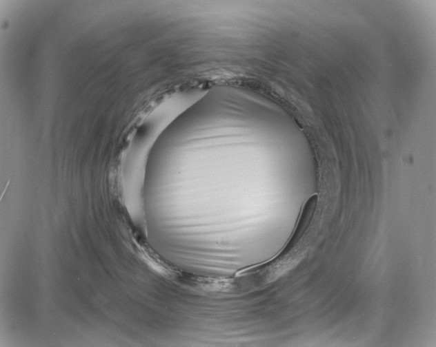 X0000081580288200702051247