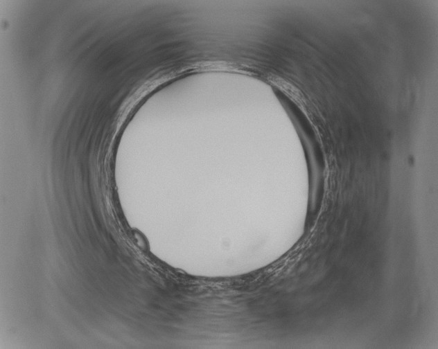 X0000081580289200702051246