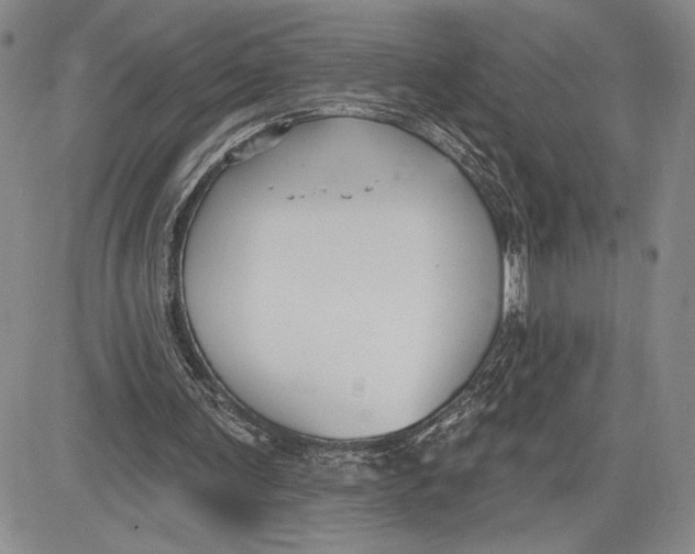 X0000081580291200702051246