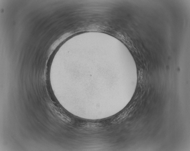 X0000081580292200702051246