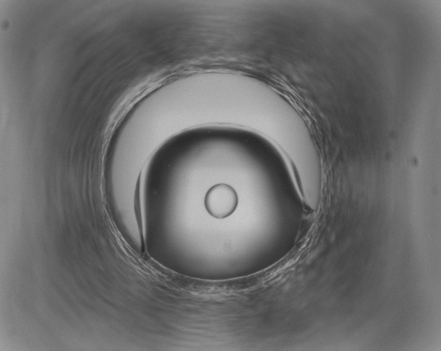 X0000081580293200702051246