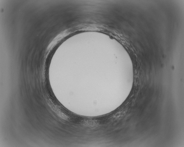 X0000081580296200702051246