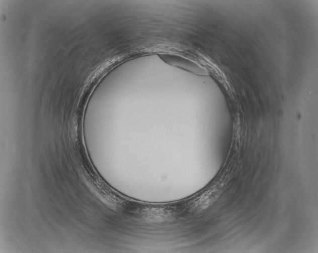 X0000081580298200702051246