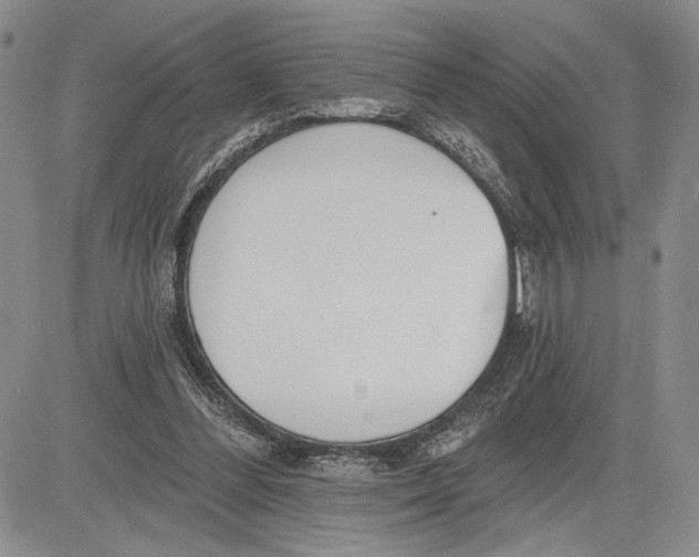 X0000081580300200702051246