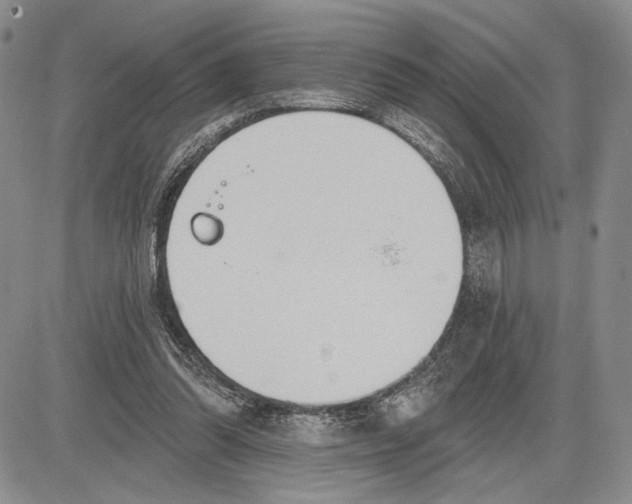 X0000081580302200702051246