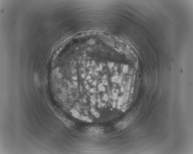 X0000081580303200702051246