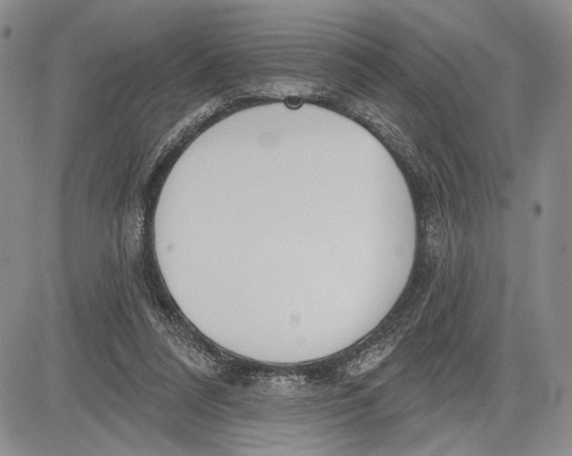 X0000081580304200702051246