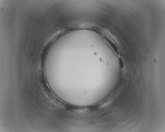 X0000081580306200702051246