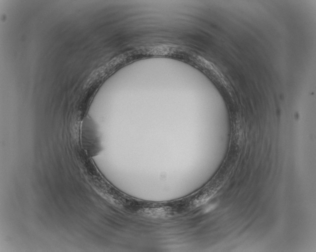 X0000081580307200702051246