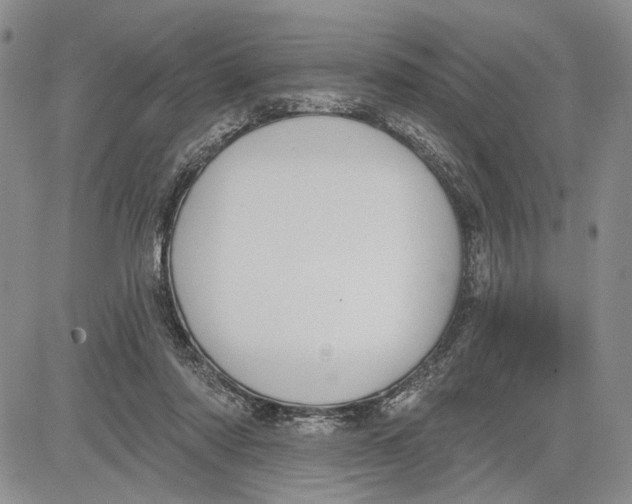 X0000081580310200702051246