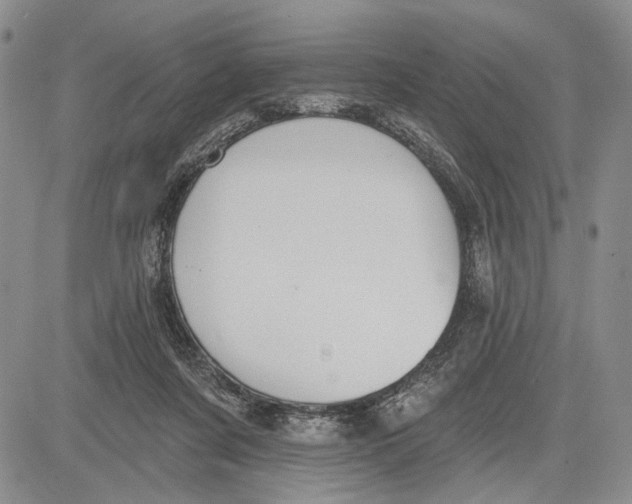 X0000081580311200702051246