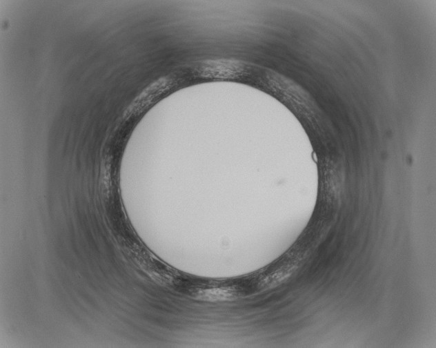 X0000081580312200702051246