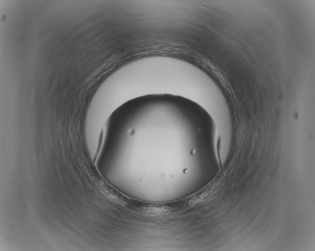 X0000081580313200702051246