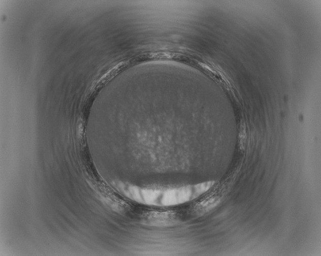 X0000081580314200702051246