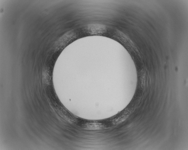 X0000081580316200702051246