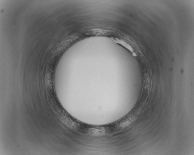 X0000081580317200702051246