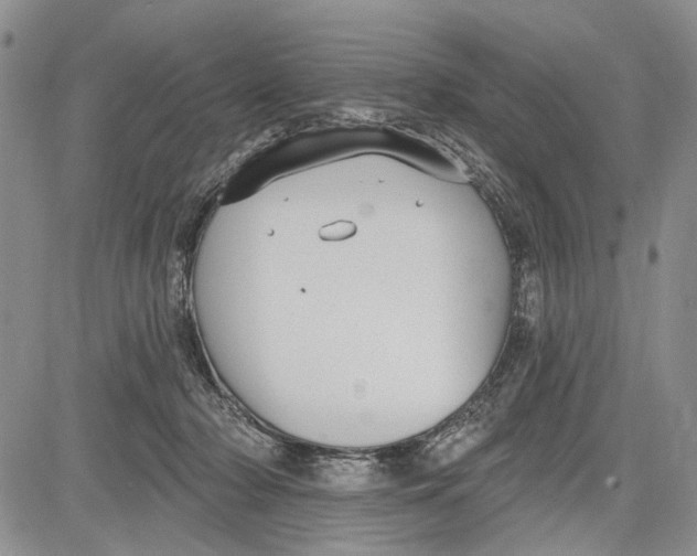 X0000081580318200702051245