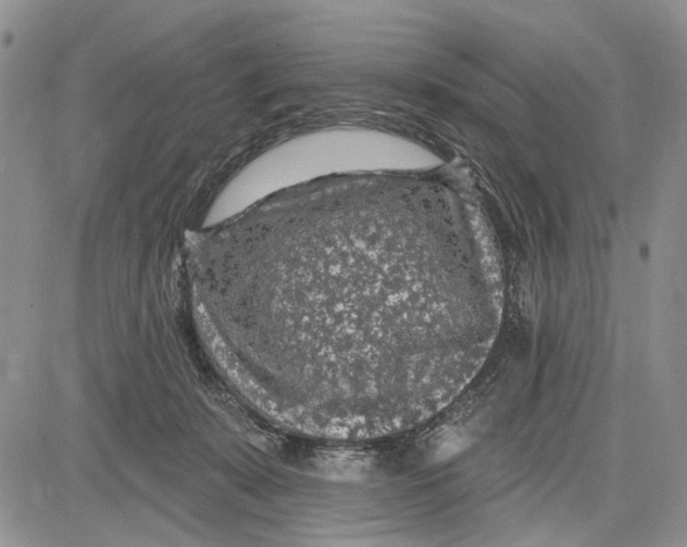 X0000081580319200702051245