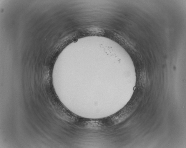 X0000081580320200702051245