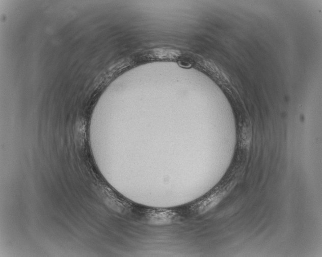 X0000081580321200702051245