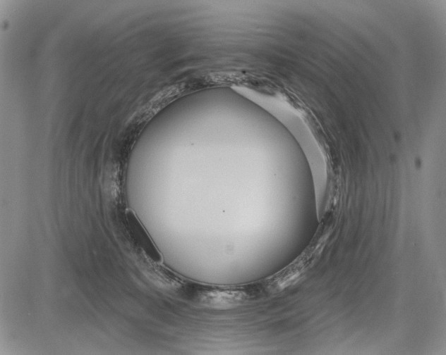 X0000081580323200702051245