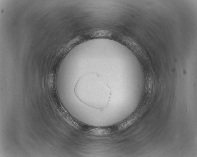 X0000081580326200702051245