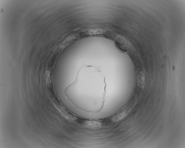 X0000081580327200702051245