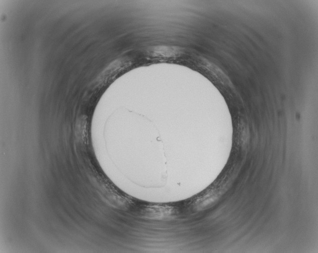 X0000081580328200702051245