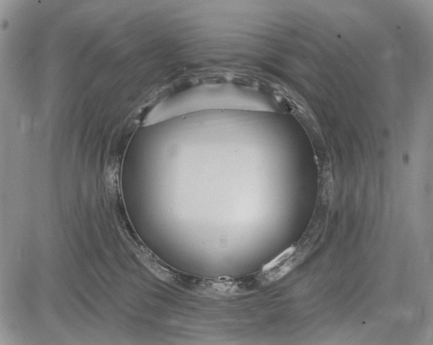 X0000081580329200702051245