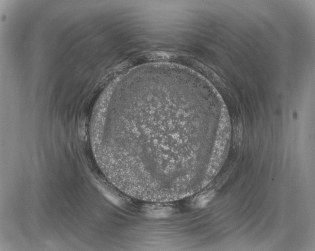 X0000081580331200702051245