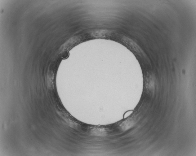 X0000081580332200702051245