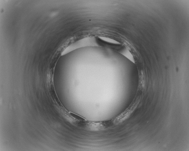 X0000081580333200702051245