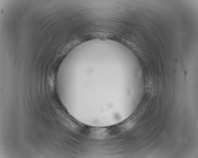 X0000081580334200702051245