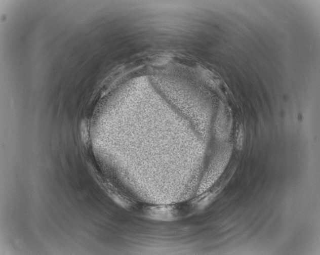 X0000081580335200702051245