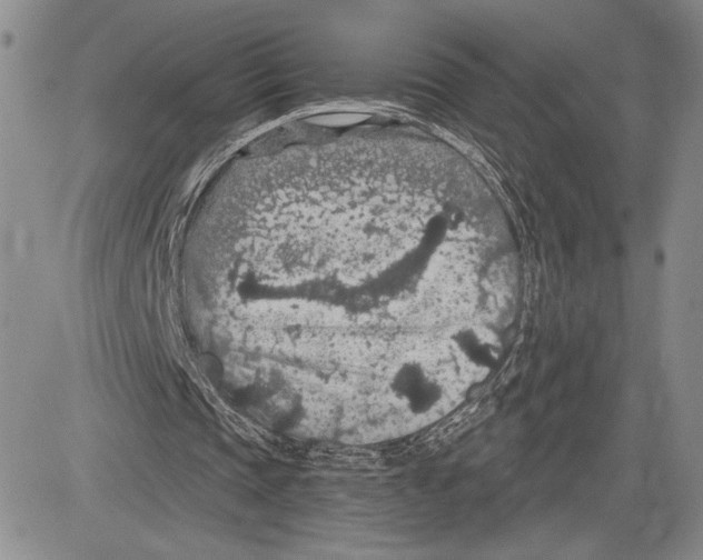 X0000081580337200702051244