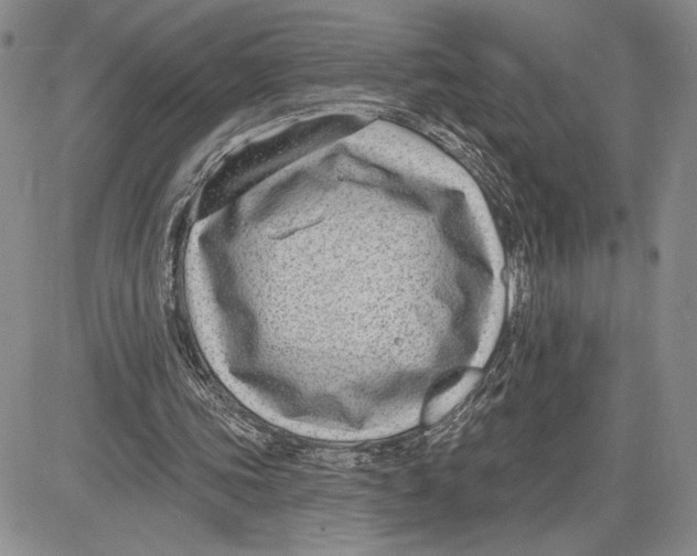 X0000081580339200702051244