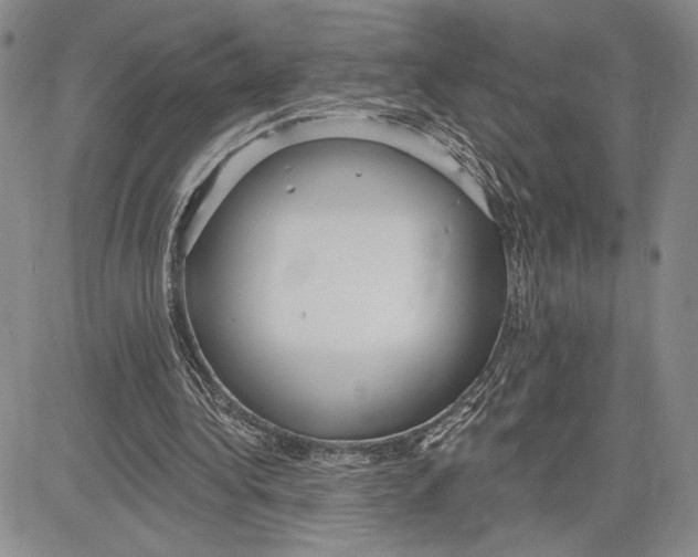 X0000081580340200702051244