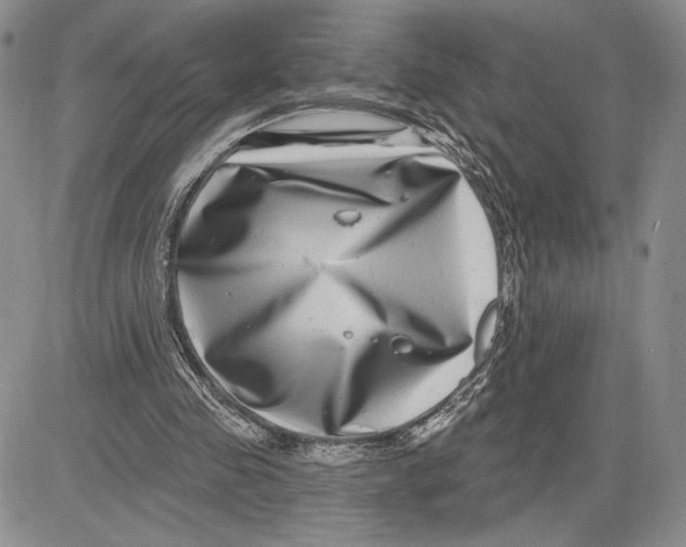 X0000081580341200702051244