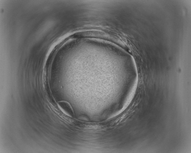 X0000081580342200702051245