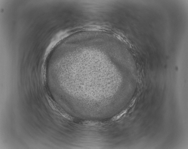 X0000081580343200702051245