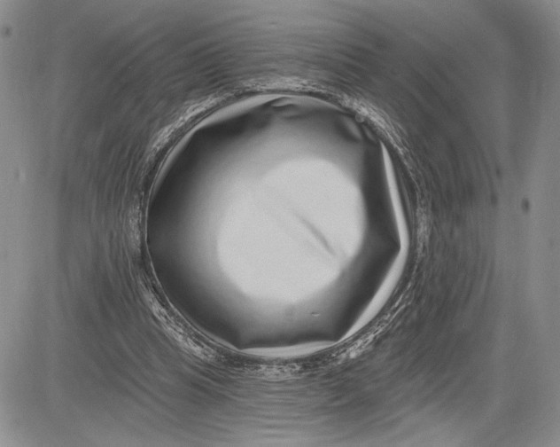 X0000081580345200702051245