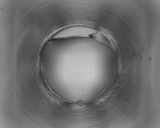 X0000081580346200702051245