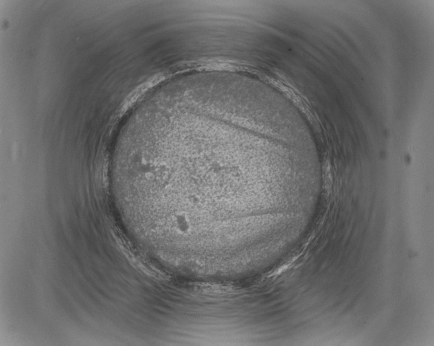 X0000081580347200702051245