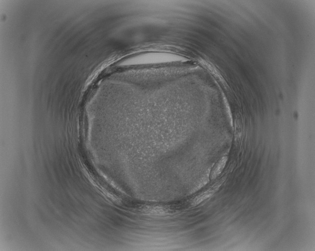 X0000081580349200702051245