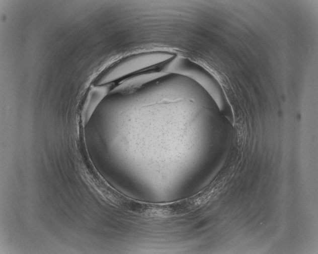 X0000081580350200702051245