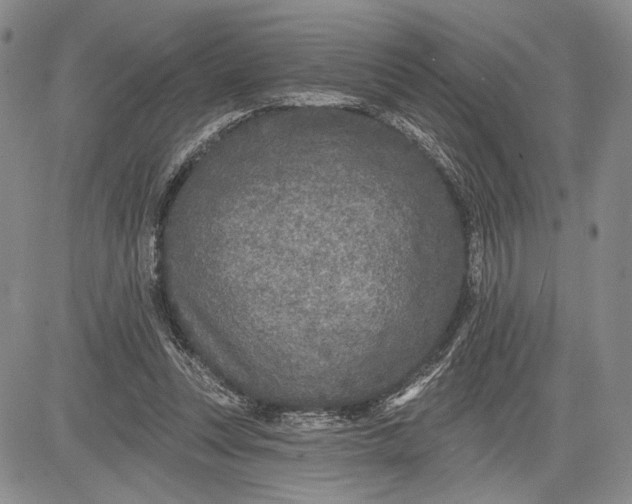 X0000081580351200702051245